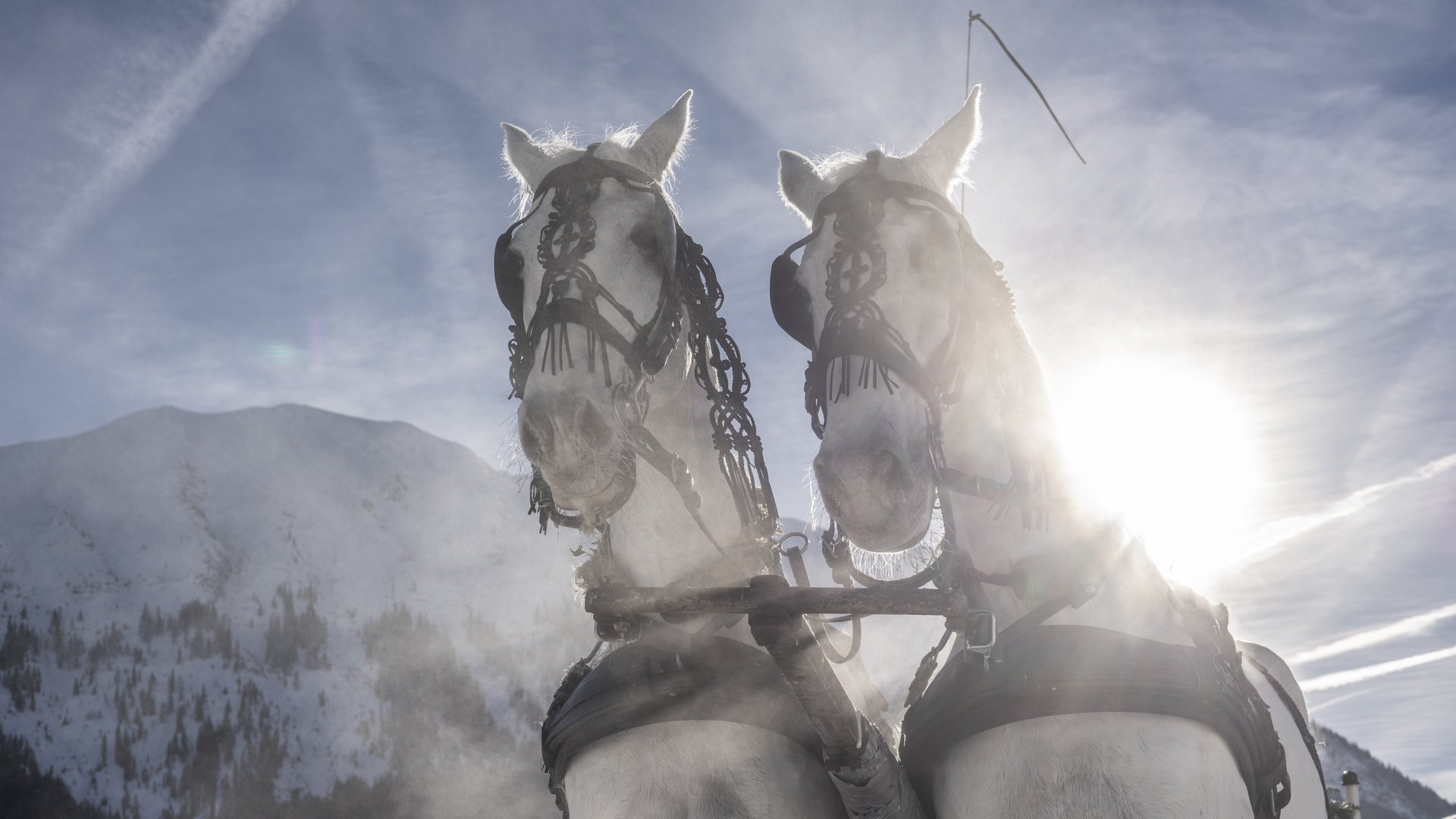 Posthotel Achenkirch